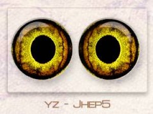 yz - Jhep5
